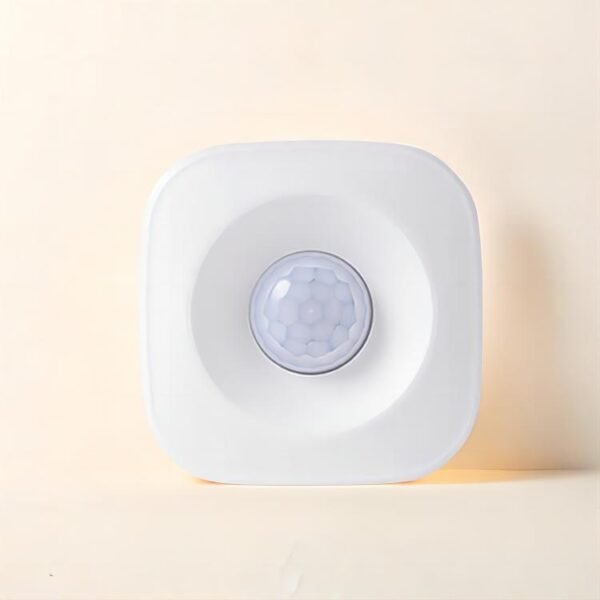 Smart Motion Detector